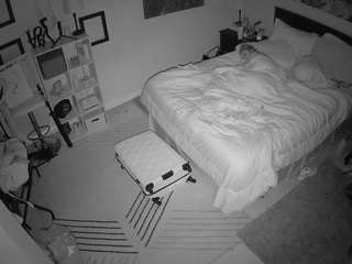 The Horny Hostel - Bedroom 2